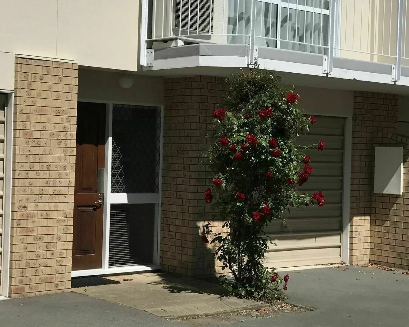 444 On The Park Villa Christchurch